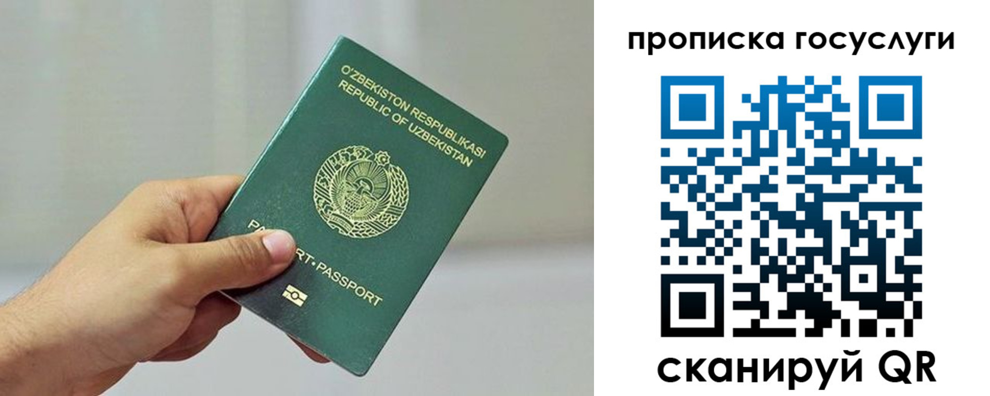 временная регистрация адрес в Благовещенске